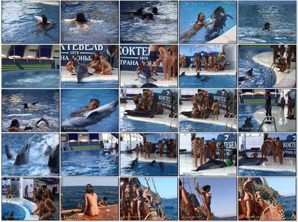 La famille nudisme vidéo mer - Rêver de dauphins [Ensoleillé naturisme] [720 x 480 | 01:10:00 | 4.3 GB]